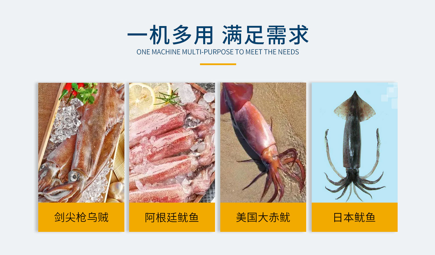 魷魚切圈機(jī)，魷魚切條機(jī)，全自動魷魚加工設(shè)備，魷魚加工機(jī)器，魷魚圈，魷魚條