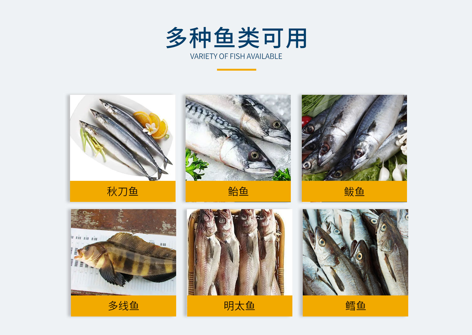 魚類切頭機，單通道切頭機，雙通道切頭機，鰱魚切頭機，黃魚切頭機，鲅魚切頭機，各種魚類切頭機