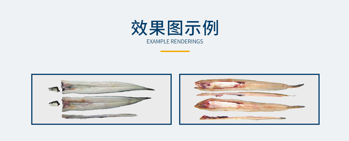 鰻魚專用去中刺開片機，鰻魚去中刺開蝴蝶片，不銹鋼鰻魚開片機