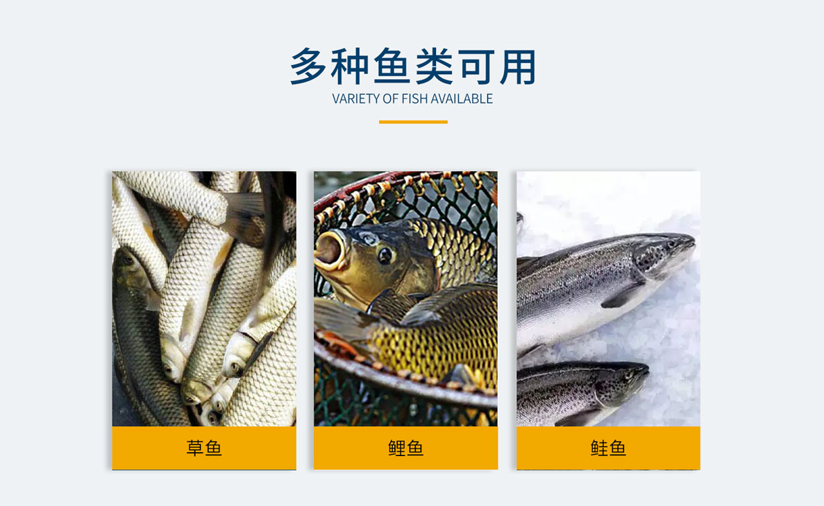 魚類去臟機(jī)，魚類剖切清潔去臟機(jī)，不銹鋼去臟機(jī)，魚類二枚三枚開片機(jī)，魚類切頭去臟機(jī)組