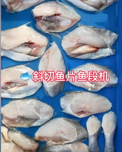 斜切魚片魚段機  漁客機械 食品機械設備 試機視頻